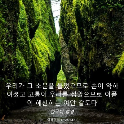 Picture 03 - 예레미야 6:24 KOR - 우리가 그 소문을 들었으므로 손이 - Bible Verse Picture