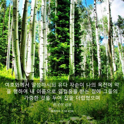 Picture 03 - 예레미야 7:30 KOR - 여호와께서 말씀하시되 유다 자손이 - Bible Verse Picture