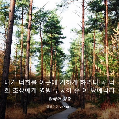 Picture 03 - 예레미야 7:7 KOR - 내가 너희를 이곳에 거하게 하리니 - Bible Verse Picture