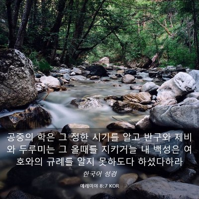 Picture 03 - 예레미야 8:7 KOR - 공중의 학은 그 정한 시기를 알고 - Bible Verse Picture