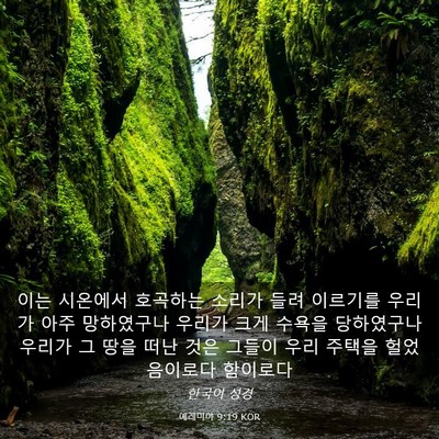 Picture 03 - 예레미야 9:19 KOR - 이는 시온에서 호곡하는 소리가 들려 - Bible Verse Picture