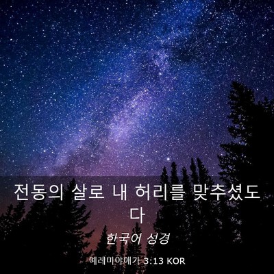 Picture 03 - 예레미야애가 3:13 KOR - 전동의 살로 내 허리를 - Bible Verse Picture