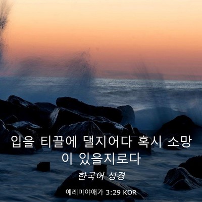 Picture 03 - 예레미야애가 3:29 KOR - 입을 티끌에 댈지어다 혹시 소망이 - Bible Verse Picture