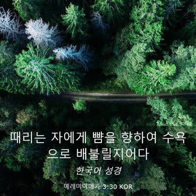 Picture 03 - 예레미야애가 3:30 KOR - 때리는 자에게 뺨을 향하여 수욕으로 - Bible Verse Picture