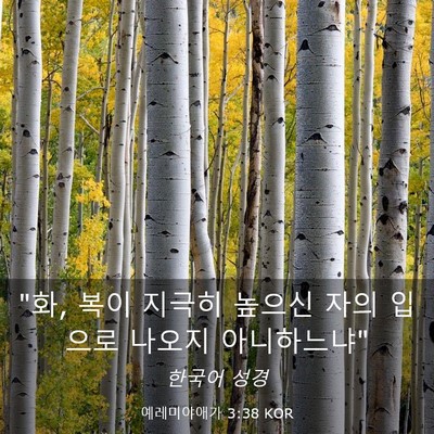 Picture 03 - 예레미야애가 3:38 KOR - 