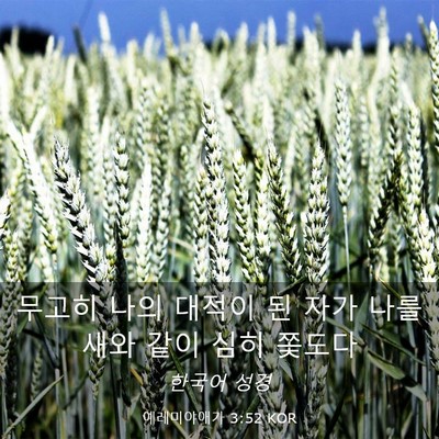 Picture 03 - 예레미야애가 3:52 KOR - 무고히 나의 대적이 된 자가 나를 - Bible Verse Picture