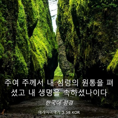 Picture 03 - 예레미야애가 3:58 KOR - 주여 주께서 내 심령의 원통을 - Bible Verse Picture