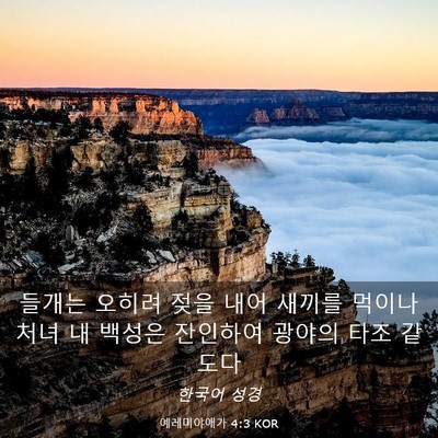 Picture 03 - 예레미야애가 4:3 KOR - 들개는 오히려 젖을 내어 새끼를 - Bible Verse Picture
