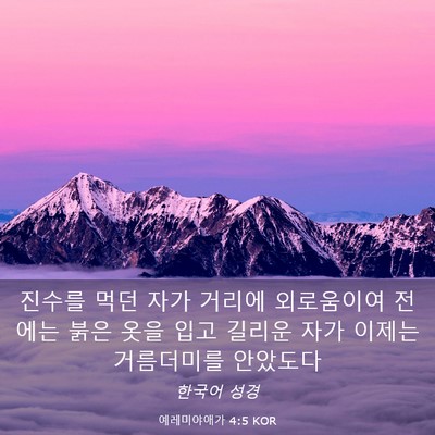 Picture 03 - 예레미야애가 4:5 KOR - 진수를 먹던 자가 거리에 외로움이여 - Bible Verse Picture