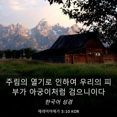 Picture 03 - 예레미야애가 5:10 KOR - 주림의 열기로 인하여 우리의 피부가 - Bible Verse Picture