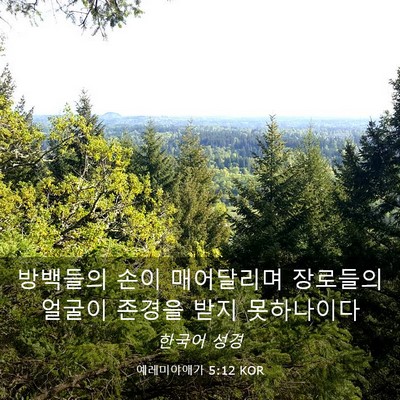 Picture 03 - 예레미야애가 5:12 KOR - 방백들의 손이 매어달리며 장로들의 - Bible Verse Picture