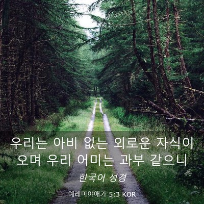 Picture 03 - 예레미야애가 5:3 KOR - 우리는 아비 없는 외로운 자식이오며 - Bible Verse Picture