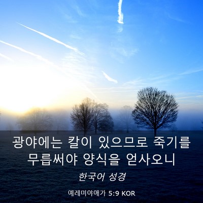 Picture 03 - 예레미야애가 5:9 KOR - 광야에는 칼이 있으므로 죽기를 - Bible Verse Picture