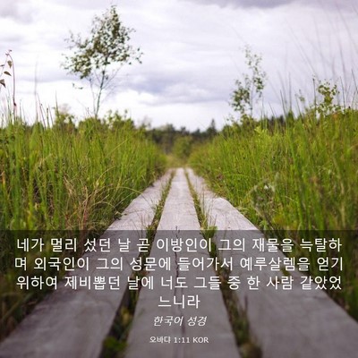 Picture 03 - 오바댜 1:11 KOR - 네가 멀리 섰던 날 곧 이방인이 그의 - Bible Verse Picture