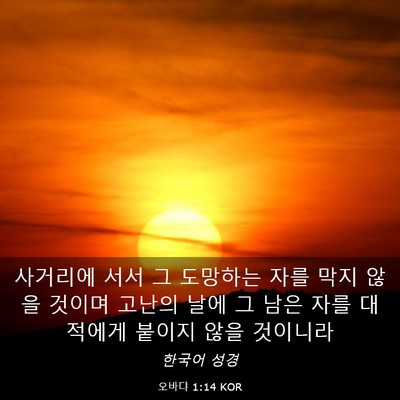 Picture 03 - 오바댜 1:14 KOR - 사거리에 서서 그 도망하는 자를 - Bible Verse Picture