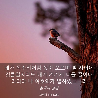 Picture 03 - 오바댜 1:4 KOR - 네가 독수리처럼 높이 오르며 별 - Bible Verse Picture