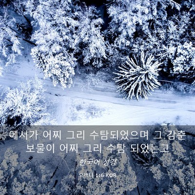 Picture 03 - 오바댜 1:6 KOR - 에서가 어찌 그리 수탐되었으며 그 - Bible Verse Picture