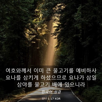 Picture 03 - 요나 1:17 KOR - 여호와께서 이미 큰 물고기를 - Bible Verse Picture