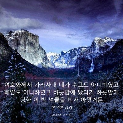 Picture 03 - 요나 4:10 KOR - 여호와께서 가라사대 네가 수고도 - Bible Verse Picture
