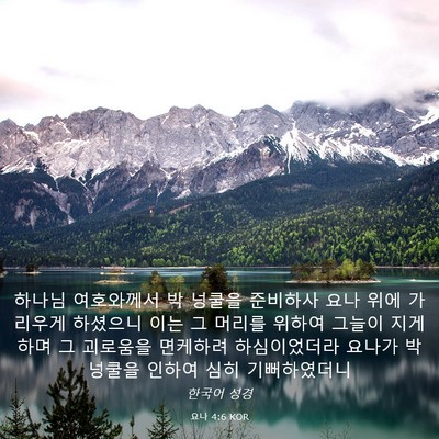 Picture 03 - 요나 4:6 KOR - 하나님 여호와께서 박 넝쿨을 - Bible Verse Picture