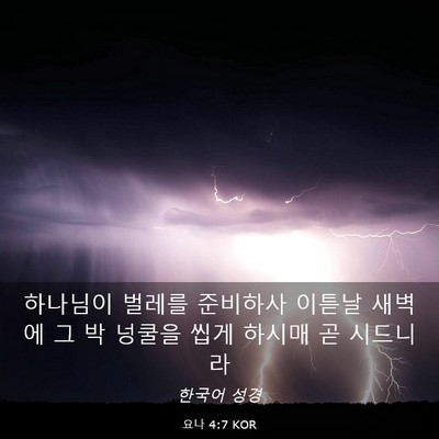 Picture 03 - 요나 4:7 KOR - 하나님이 벌레를 준비하사 이튿날 - Bible Verse Picture