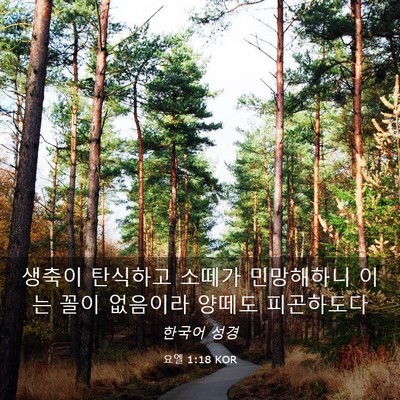 Picture 03 - 요엘 1:18 KOR - 생축이 탄식하고 소떼가 민망해하니 - Bible Verse Picture