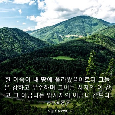 Picture 03 - 요엘 1:6 KOR - 한 이족이 내 땅에 올라왔음이로다 - Bible Verse Picture