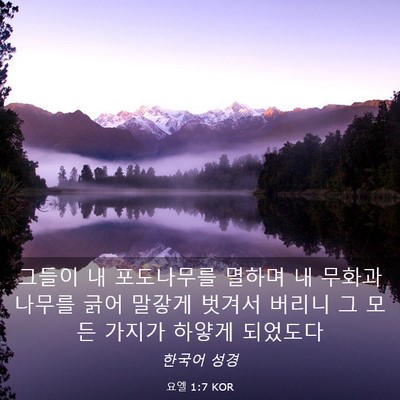 Picture 03 - 요엘 1:7 KOR - 그들이 내 포도나무를 멸하며 내 - Bible Verse Picture