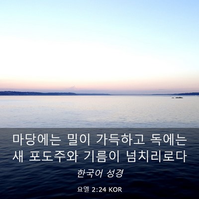 Picture 03 - 요엘 2:24 KOR - 마당에는 밀이 가득하고 독에는 새 - Bible Verse Picture
