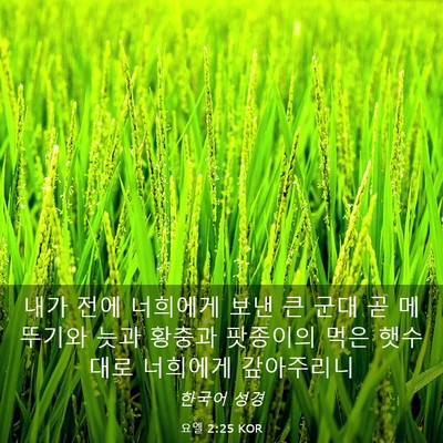 Picture 03 - 요엘 2:25 KOR - 내가 전에 너희에게 보낸 큰 군대 곧 - Bible Verse Picture