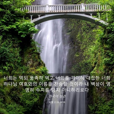 Picture 03 - 요엘 2:26 KOR - 너희는 먹되 풍족히 먹고 너희를 - Bible Verse Picture