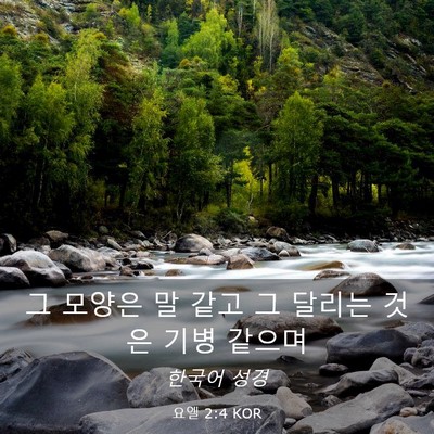 Picture 03 - 요엘 2:4 KOR - 그 모양은 말 같고 그 달리는 것은 - Bible Verse Picture