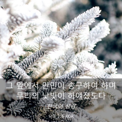 Picture 03 - 요엘 2:6 KOR - 그 앞에서 만민이 송구하여 하며 - Bible Verse Picture