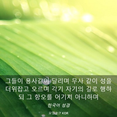 Picture 03 - 요엘 2:7 KOR - 그들이 용사같이 달리며 무사 같이 - Bible Verse Picture