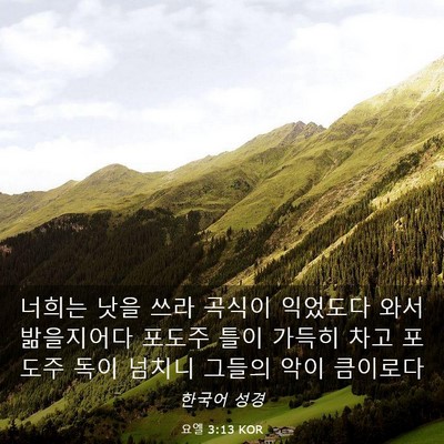 Picture 03 - 요엘 3:13 KOR - 너희는 낫을 쓰라 곡식이 익었도다 - Bible Verse Picture