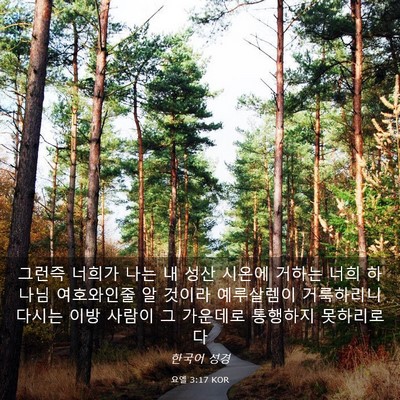 Picture 03 - 요엘 3:17 KOR - 그런즉 너희가 나는 내 성산 시온에 - Bible Verse Picture
