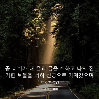 Picture 03 - 요엘 3:5 KOR - 곧 너희가 내 은과 금을 취하고 나의 - Bible Verse Picture