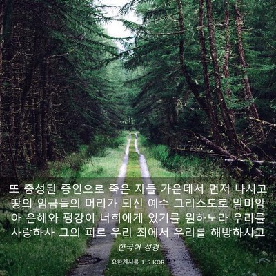 Picture 03 - 요한계시록 1:5 KOR - 또 충성된 증인으로 죽은 자들 - Bible Verse Picture