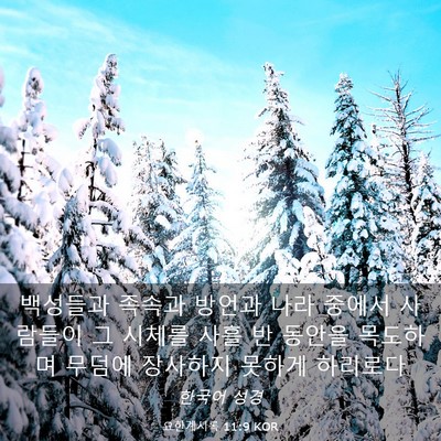 Picture 03 - 요한계시록 11:9 KOR - 백성들과 족속과 방언과 나라 중에서 - Bible Verse Picture