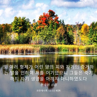 Picture 03 - 요한계시록 12:11 KOR - 또 여러 형제가 어린 양의 피와 - Bible Verse Picture