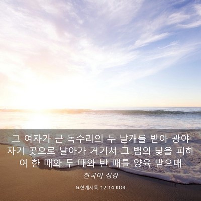 Picture 03 - 요한계시록 12:14 KOR - 그 여자가 큰 독수리의 두 날개를 - Bible Verse Picture