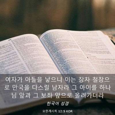 Picture 03 - 요한계시록 12:5 KOR - 여자가 아들을 낳으니 이는 장차 - Bible Verse Picture