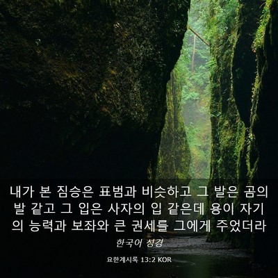 Picture 03 - 요한계시록 13:2 KOR - 내가 본 짐승은 표범과 비슷하고 그 - Bible Verse Picture