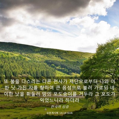 Picture 03 - 요한계시록 14:18 KOR - 또 불을 다스리는 다른 천사가 - Bible Verse Picture