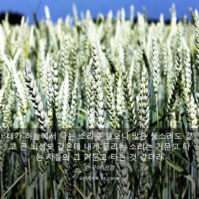 Picture 03 - 요한계시록 14:2 KOR - 내가 하늘에서 나는 소리를 들으니 - Bible Verse Picture