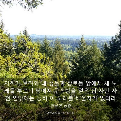 Picture 03 - 요한계시록 14:3 KOR - 저희가 보좌와 네 생물과 장로들 - Bible Verse Picture