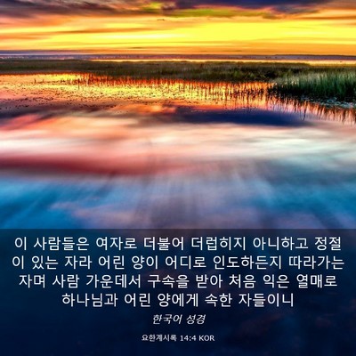 Picture 03 - 요한계시록 14:4 KOR - 이 사람들은 여자로 더불어 더럽히지 - Bible Verse Picture