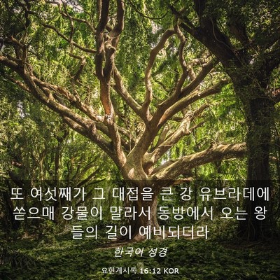 Picture 03 - 요한계시록 16:12 KOR - 또 여섯째가 그 대접을 큰 강 - Bible Verse Picture