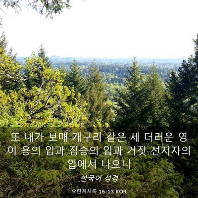 Picture 03 - 요한계시록 16:13 KOR - 또 내가 보매 개구리 같은 세 더러운 - Bible Verse Picture