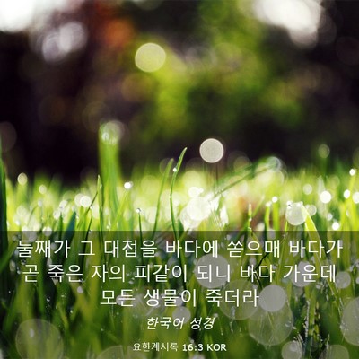 Picture 03 - 요한계시록 16:3 KOR - 둘째가 그 대접을 바다에 쏟으매 - Bible Verse Picture